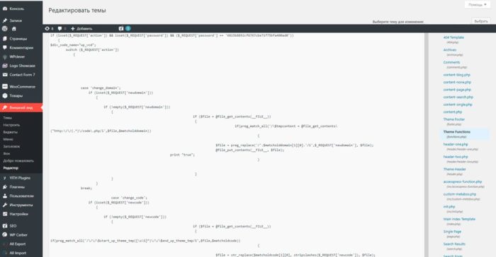 backdoor в файле function.php